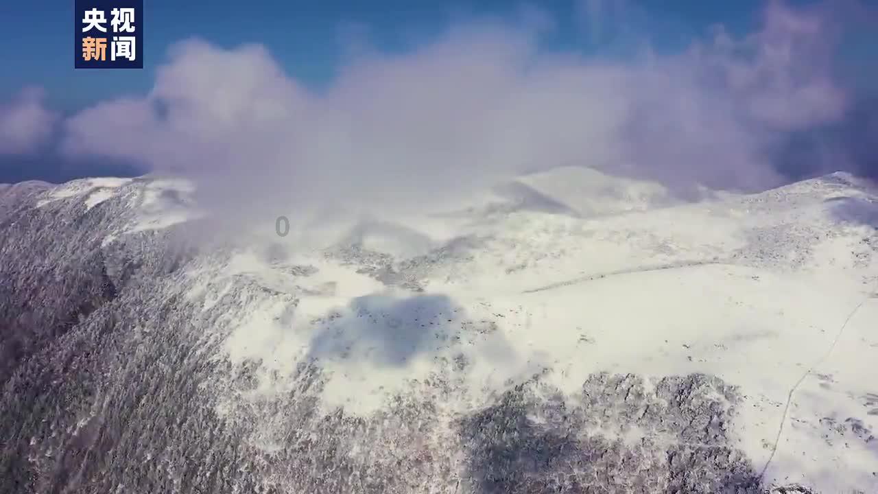 万词王